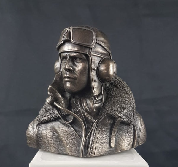 Cold Cast Bronze Bust RAF Battle of Britain Pilot 80th Anniversary