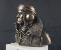 Cold Cast Bronze Bust RAF Battle of Britain Pilot 80th Anniversary