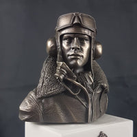 Cold Cast Bronze Bust RAF Battle of Britain Pilot 80th Anniversary