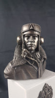 Cold Cast Bronze Bust RAF Battle of Britain Pilot 80th Anniversary