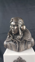 Cold Cast Bronze Bust RAF Battle of Britain Pilot 80th Anniversary